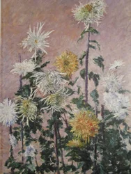 White and Yellow Chrysanthemums